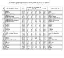 Тигель керамический типа Форнакс