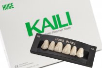 Планка передних верхних зубов Kaili 6 шт S2