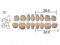 Планка жевательных нижних зубов Kaili 8 шт 30ML