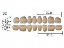 Планка жевательных нижних зубов Kaili 8 шт 32ML
