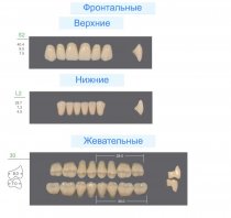 Гарнитур зубов KAILI S2/L2/30M