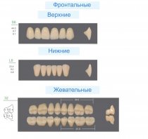 Гарнитур зубов KAILI S6/L6/32M
