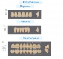 Гарнитур зубов KAILI S8/L8/34M