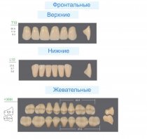Гарнитур зубов KAILI T10/L10/36M