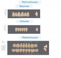 Гарнитур зубов KAILI T2/L2/30M