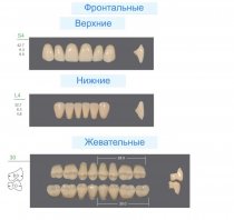 Гарнитур зубов KAILI T4/L4/30M