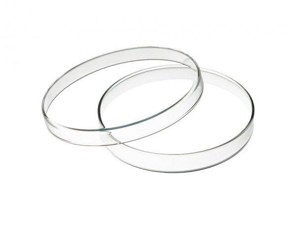 Чашка Петри Micromed 100 мм